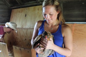 Holding the Americauna