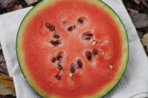 Watermelon 4