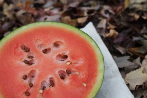 Watermelon 2