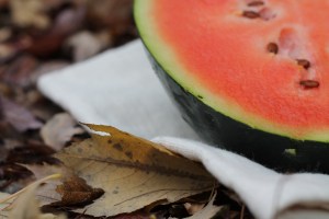 Watermelon 1