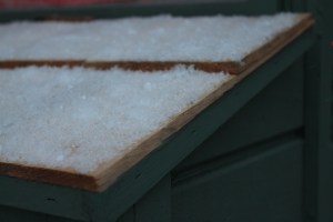 Snow on the coop