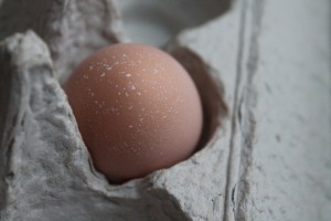 The second egg