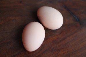 Two eggs together