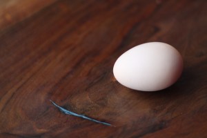 First egg on a plate