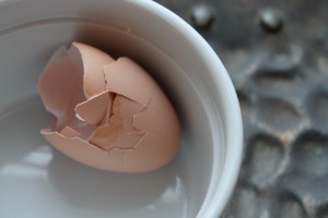 Egg shells