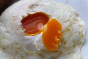Vivid orange yolk