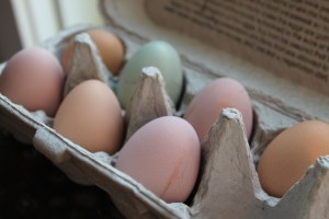 Egg carton