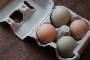 Small egg cartons