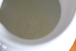 Yogurt starter and milk