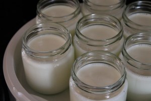 Making yogurt