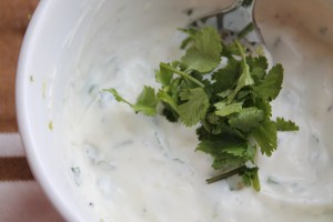Cilantro Lime Aioli