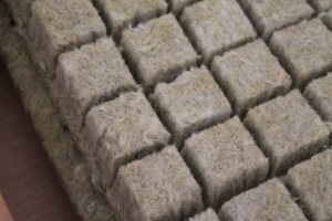 Rock wool
