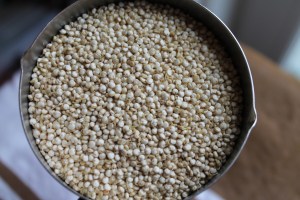 Quinoa