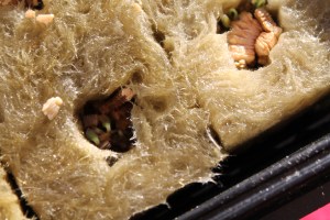 March 20th -- sprouts