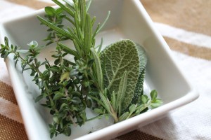 IMG_Thyme, Rosemary and Sage