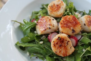 Seared scallops