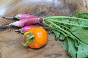Radishes and tomato