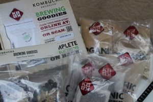Kombucha kit