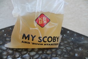 Scoby