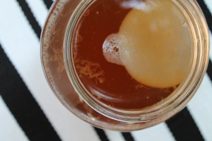 Scoby in tea