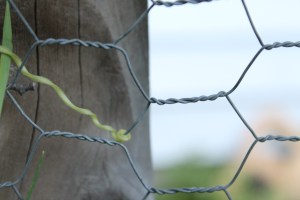 Reaching for support