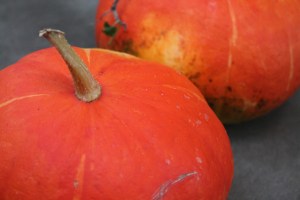Red squash