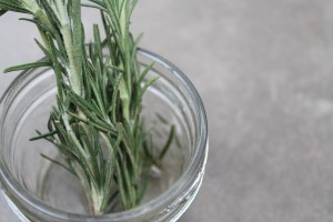 Rosemary