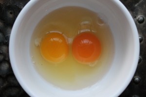 Egg yolk comparison