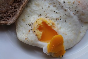 Organic, Free Range, Grocery Store egg