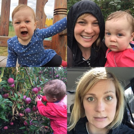 d3685c48-fbba-4bb7-b769-b5e7336bfe19